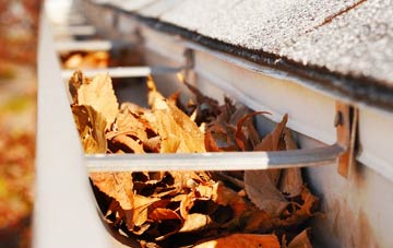 Steeple Morden gutter cleaning companies