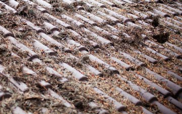 Steeple Morden roof cleaning companies