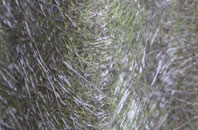 Steeple Morden fibreglass roof work